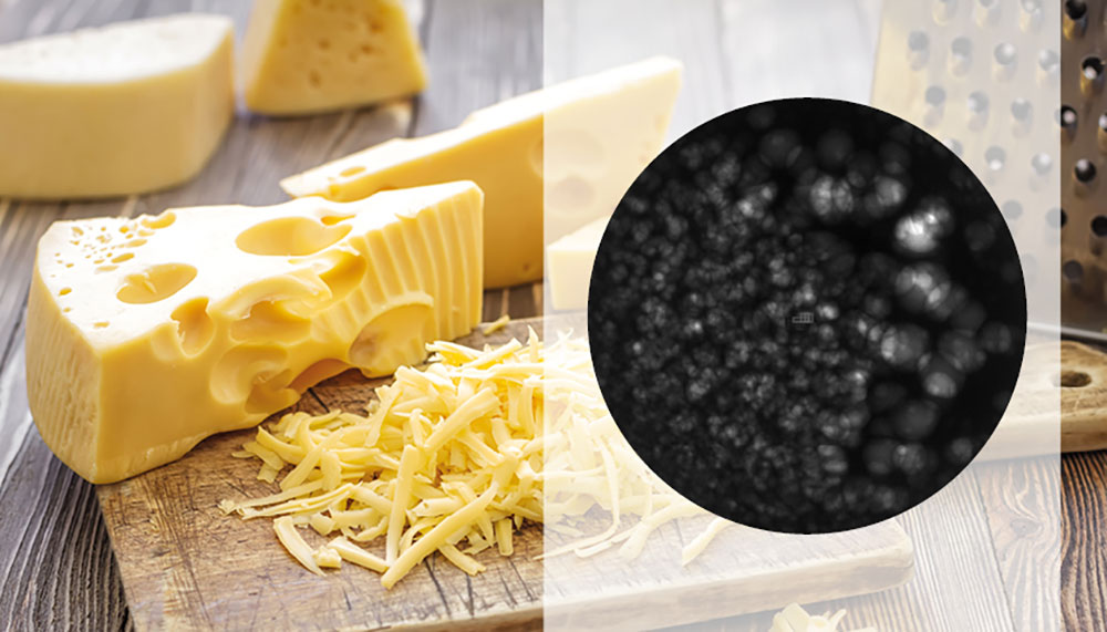 Ripeness detection in cheese